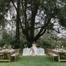 Marry Me Rentals - Party Supply Rental
