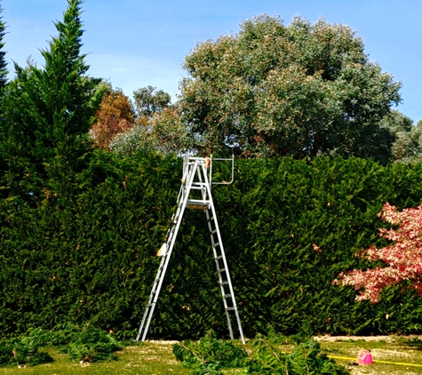 Hortum Tree Services - Jerrabomberra, NSW