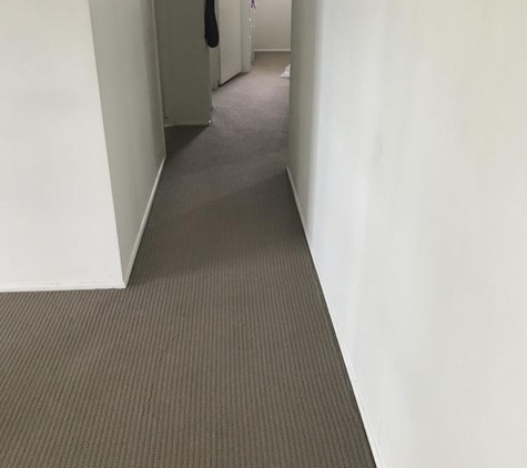 Gorman's Carpet Care & Pest Control - Middle Park, QLD. The day after cleaning. Good as gold!