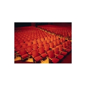 Gallery Image Number 7