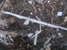 Paradigm Tas Pty Ltd - Asbestos Removal