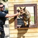 Task Force Protection Services