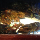 Red Lobster
