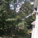 Mister D's Tree Cutting Service - Tree Service