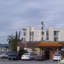 Twin Dragon - Chinese Restaurants