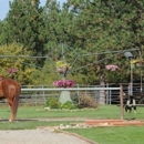 Bridle Path Quarter Horses Inc - Horse Rentals