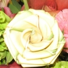 Blanche Darby Florist gallery