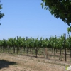 Adastra Wines gallery