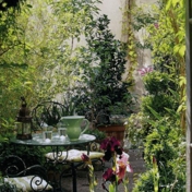 Gallery Image Number 7