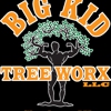 Big Kid Tree Worx gallery