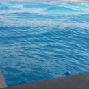 LilleyPadPools - Swimming Pool Repair & Service