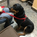 Patterson Vet Hospital - Veterinary Clinics & Hospitals