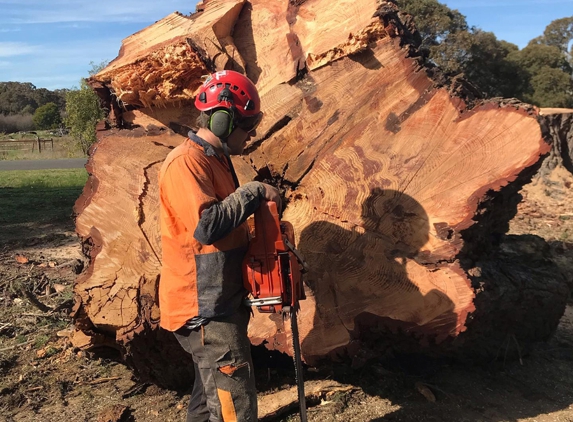 Gravity Tree Worx - Nerrina, VIC