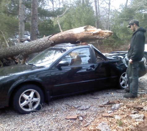 Double D Tree Service - Sandwich, MA