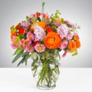 Citywide Flower Plants - Florists