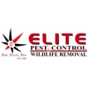 Elite Pest Control & Wild Life Removal Inc gallery