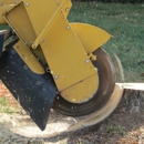 Billy Hummer's Stump Grinding - Tree Service