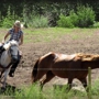 Colorado Trails Ranch