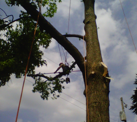 Long's Tree Service - Annville, PA