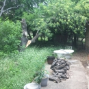 H & H Tree Services Inc - Tree Service