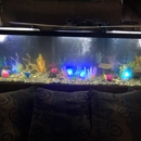 Anchor Bay Aquarium - Pet Stores