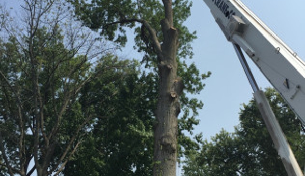 Caffrey Tree & Landscape - Scotch Plains, NJ