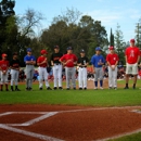 Arden Little League - Baseball Clubs & Parks