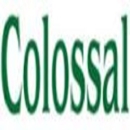 Colossal Construction - Home Improvements