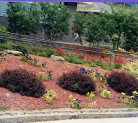 Ed's Tree & Landscape Service Inc - Natick, MA