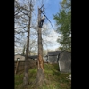 Steven tree services gallery