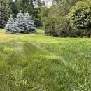 Elkour Lawn Service - Landscaping & Lawn Services