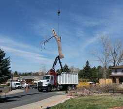 Mortensen Tree Service, Inc. - Centennial, CO