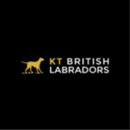 KT British Labs - Dog Training