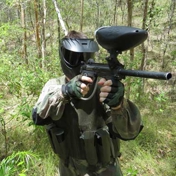 Gallery Image Number 5