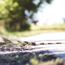Gopher Trapping Pros - Pest Control Services