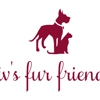 Liv's Fur Friends Pet Sitting and Dog Walking gallery