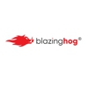 Blazing Hog gallery
