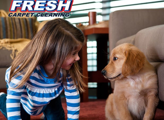 Oxi Fresh Carpet Cleaning