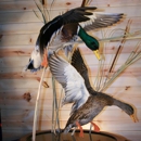 Living Legends Taxidermy Studio - Taxidermists