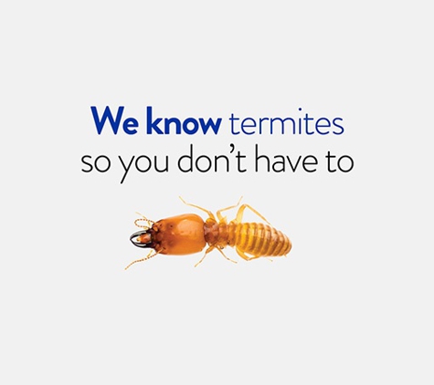 Termitrust Pest Control Experts - Kunda Park, QLD