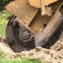 Benac Stump Grinding