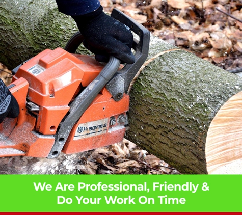 Phil's Tree Service - Cootamundra, NSW. We Are Professional, Friendly & Do Your Work On Time