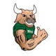 Bull Moving LLC