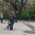 Pawsitively Polite Dog Obedience Training - Kansas City Dog Training