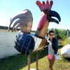 Rockin Rooster Inc gallery