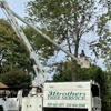 3 Brothers Tree Service gallery