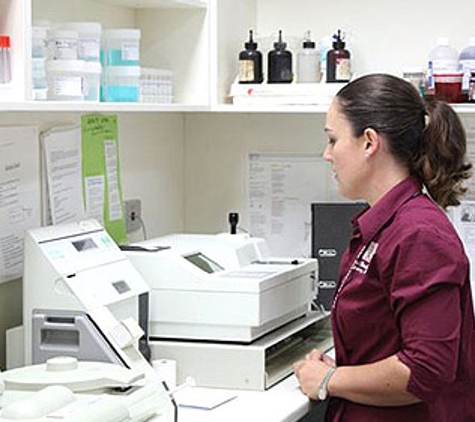 East Bundaberg Veterinary Hospital - Bundaberg East, QLD