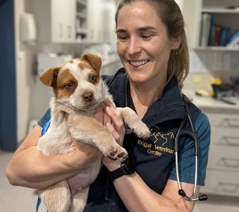 Yoogali Veterinary Centre - Yoogali, NSW