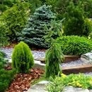 Pinehaven Nursery & Landscaping - Nurseries-Plants & Trees