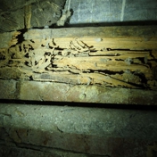 Gallery Image Number 5